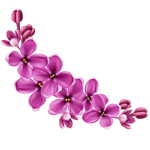 MomentsclipfromJul032025