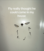 I be yelling out gang gang