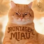 Montagem Miau