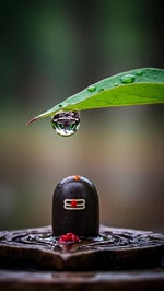 DJ UPER NACHE BHABHI Sonika Singh Vikas Kharakiya Mohit Sharma(