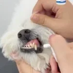 แค่พ่นวันละ2ครั้ง - Sound