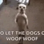 DOG OUT