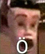 screaming bird meme - Sound