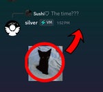 babies kick pregnant women