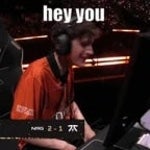 Ohnepixel... ZESTIFYY