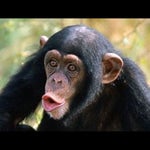 Gracias bro muchas gracias, en velda mucha gente ingnoran este