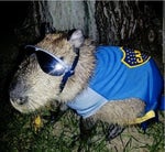 homero yo no morire 2 - Sound