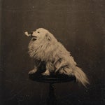 Dragon Ball abridged - Recoome Intro