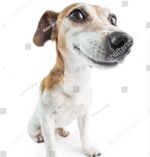 DUNKING A BASKETBALL ON ICE SKATES