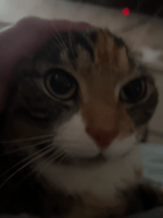 Tirubón (FERRAAAAAAAN) - Sound