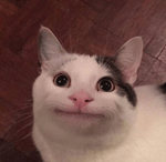 Take The L Dance In Fortnite