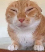 phonecall for a bag of nickels - Sound