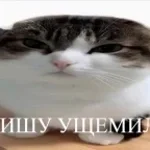 Ti chto nas fotkaesh?