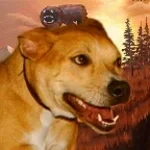 funny 1 4 5  mouth groove