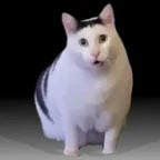 HHHHHHHHUUUUUUUUUUUUUUHHHHHHHHHHHHHHH