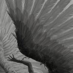 wing sound effect - Sound