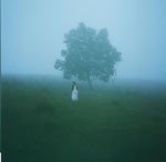 Asleep Among Endives