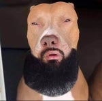 Skibidi Toilet (Sped Up Remix)