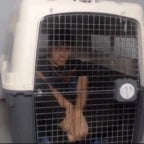 Bilo. Back, In, Cage.