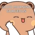 Good morning gorgeous