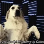 hey-k9-here