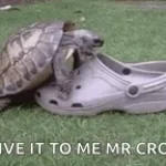 show me that crock