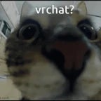 vrchat camera