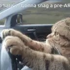 DRIVING IN MY CAR (copy)