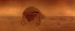 Dune