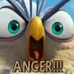 Remember everything you learned from my class..?