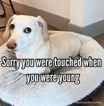 Indila Tourner Dans Le Vide (Andrew Tate Version)