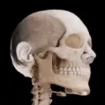 Pissbaby laugh 2