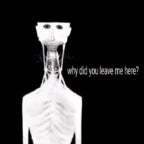 The Boy And The Bath - Why Did you Leave me