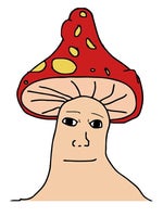 Terraria Music Mushrooms