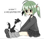 what do you call this in english