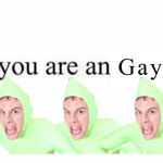 You are a gay hahaha
