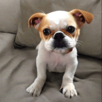 Diggy Diggy Hole pt 3