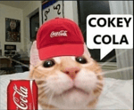 Papyrus Sniffs cokey cola