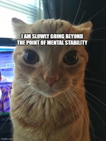 how constipated are you 20 billion