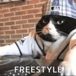 freestyle