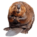 When Zavala isn't home