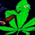 destroyed spines >1<