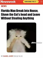 Low Quality Funkytown FAST