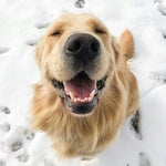 Audience Clapping Sound Effect