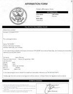 sound effect gun cute piw piw