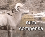 Num compensa