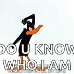 Recording 02/04/26 22:38:00