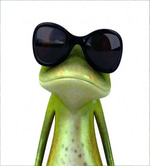 sapo risa