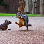 quick!
get out now!!!