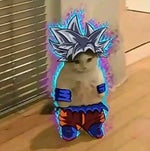 Norman message a Wallpax